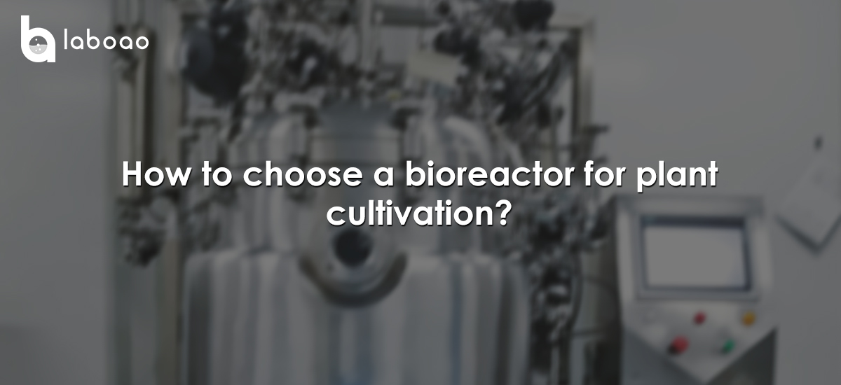 How To Choose A Bioreactor For Plant Cultivation?